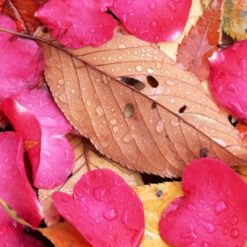 4 шт. POM 48P цилиндрическая шестерня основная шестерня 75T 78T 82T 85T 88T 90T для 3Racing Sakura S XI XIS CS D4 D5 1/10 Детали для обновления радиоуправляемого автомобиля
4 шт. POM 48P цилиндрическая шестерня основная шестерня 75T 78T 82T 85T 88T 90T для 3Racing Sakura S XI XIS CS D4 D5 1/10 Детали для обновления радиоуправляемого автомобиля