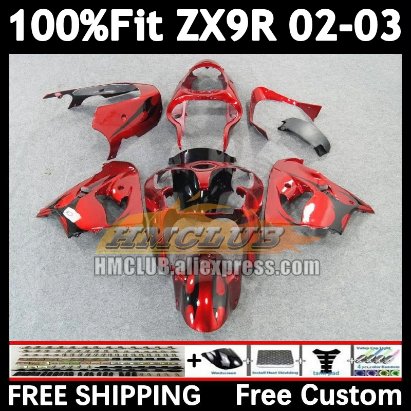 Injection Body For KAWASAKI black flames NINJA ZX 900 9R 9 R 2002 2003 166No.2 ZX900 ZX-9R ZX9 R 900CC ZX9R 02 03 OEM Fairings
Injection Body For KAWASAKI black flames NINJA ZX 900 9R 9 R 2002 2003 166No.2 ZX900 ZX-9R ZX9 R 900CC ZX9R 02 03 OEM Fairings