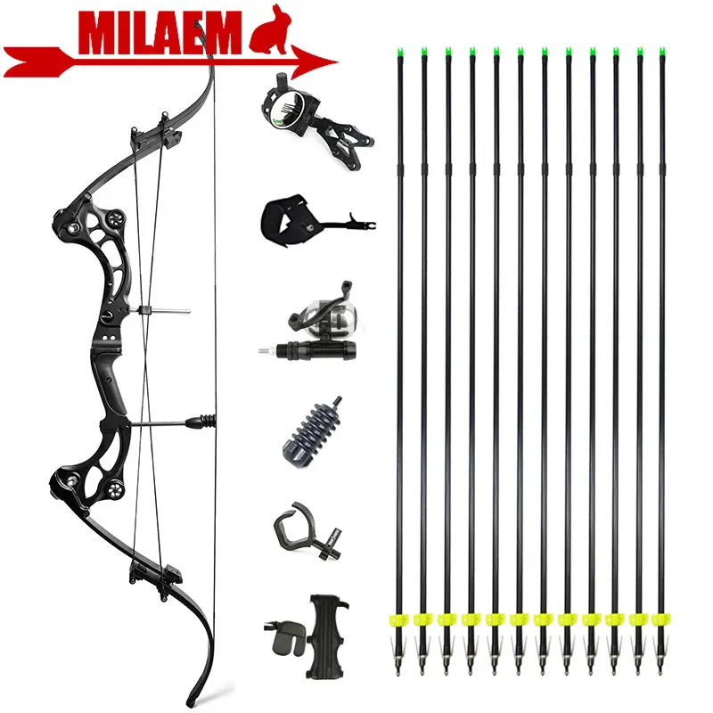 40-55lbs Compound Bow Arrow Set Bowfishing Arrow Recurve Bow Shooting Archery Hunting Fishing Target Shooting
40-55lbs Compound Bow Arrow Set Bowfishing Arrow Recurve Bow Shooting Archery Hunting Fishing Target Shooting