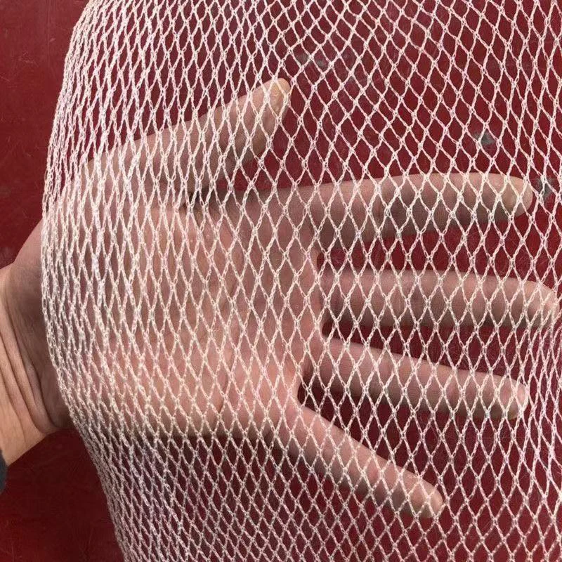Garden with bird netting to protect vegetables and fruit trees, fence to protect fruits and vegetables from birds and deer
Garden with bird netting to protect vegetables and fruit trees, fence to protect fruits and vegetables from birds and deer