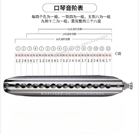 64 56 48 Imported 16 Hole Chromatic Harmonica for Beginners To Play and Learn
64 56 48 Imported 16 Hole Chromatic Harmonica for Beginners To Play and Learn