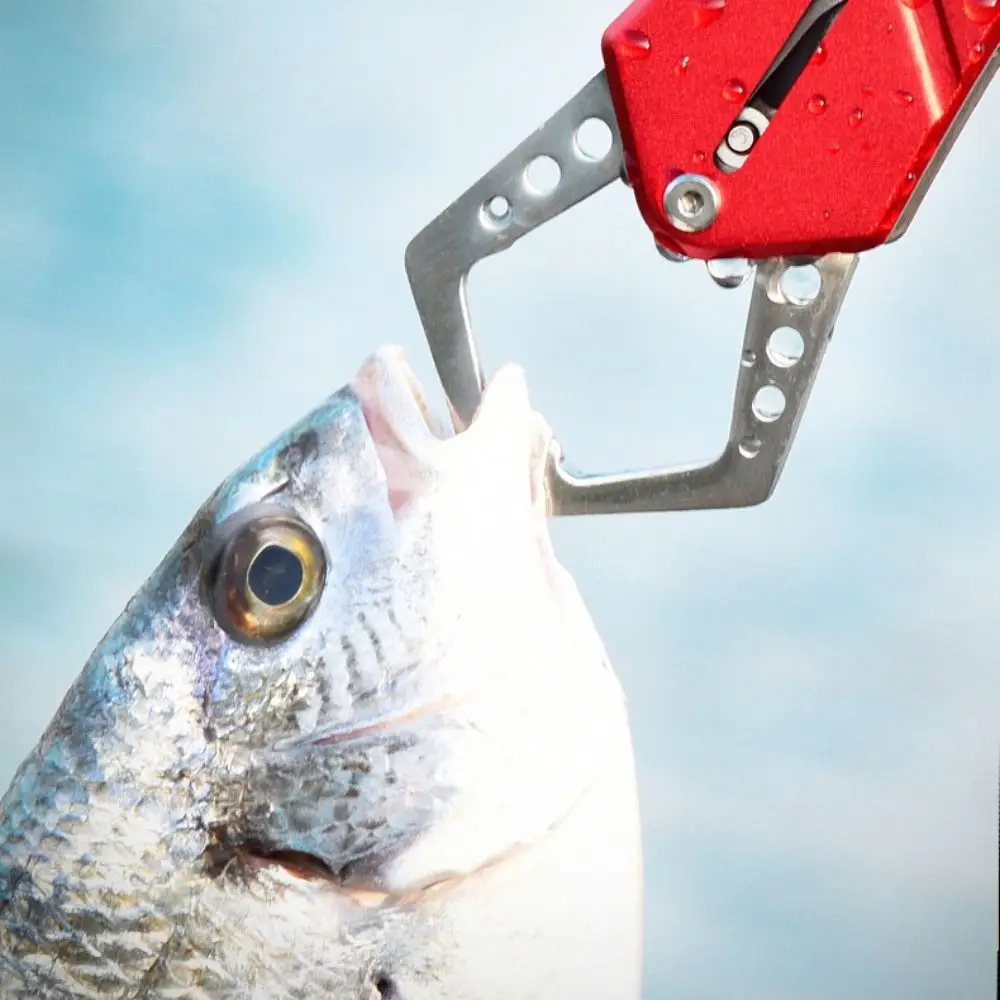 Aluminum Alloy Metal Fishing Tongs Gripper Comfortable Grip Strong Locking Fish Nose Pliers Antiskid Multifunction
Aluminum Alloy Metal Fishing Tongs Gripper Comfortable Grip Strong Locking Fish Nose Pliers Antiskid Multifunction