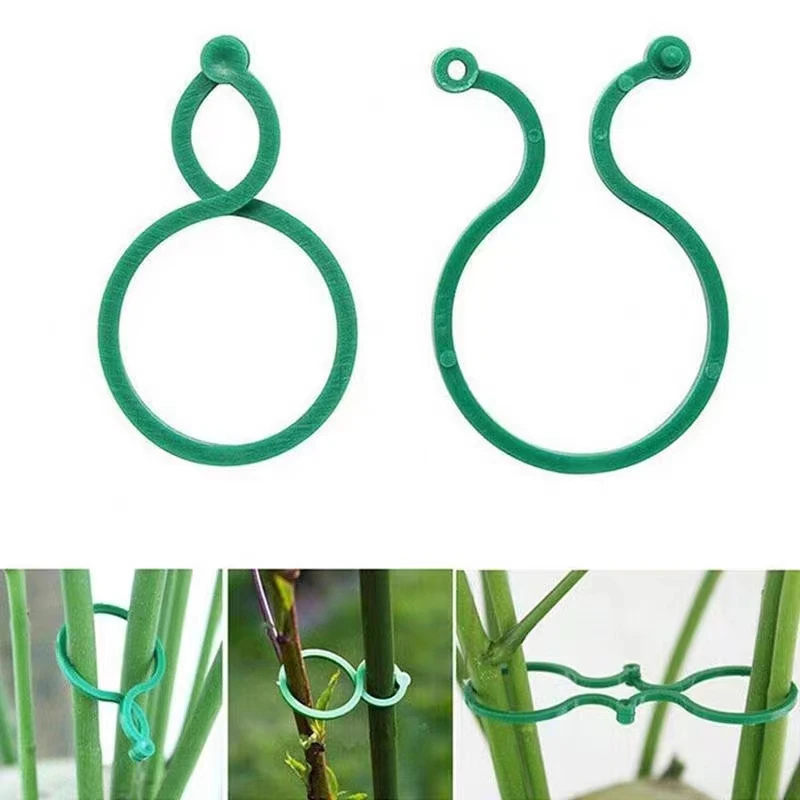10/20/50/100 Pcs Vine Strapping Clips For Growing Upright Plant Holder Green Plastic Bundled Ring Garden Stand Tool Vine Support
10/20/50/100 Pcs Vine Strapping Clips For Growing Upright Plant Holder Green Plastic Bundled Ring Garden Stand Tool Vine Support