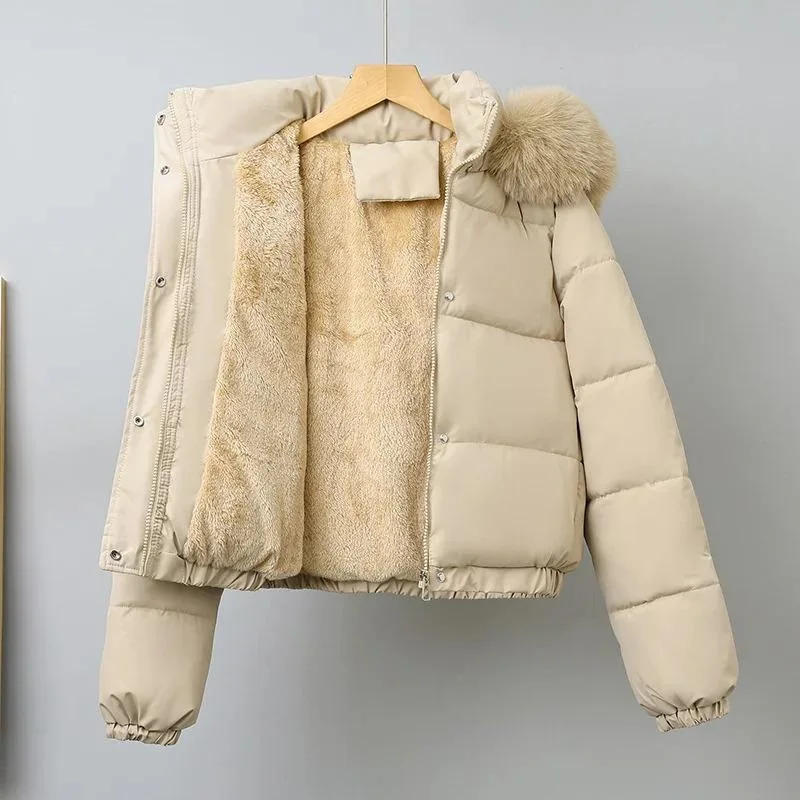 Women's Short Padded Jacket Cotton Cross-Border Trade Spring Summer Autumn Fashionable Casual Lightweight Coat
Women's Short Padded Jacket Cotton Cross-Border Trade Spring Summer Autumn Fashionable Casual Lightweight Coat