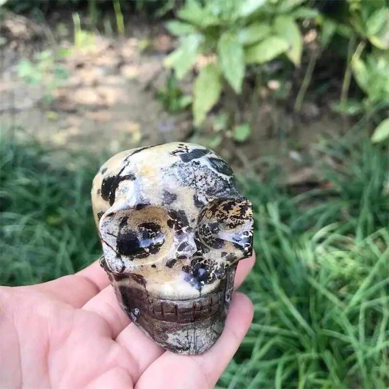 Natural Picture Stone Skull Carving Polished Quartz Healing Stones Gemstones For Home DIY Decoration 1pcs
Natural Picture Stone Skull Carving Polished Quartz Healing Stones Gemstones For Home DIY Decoration 1pcs
