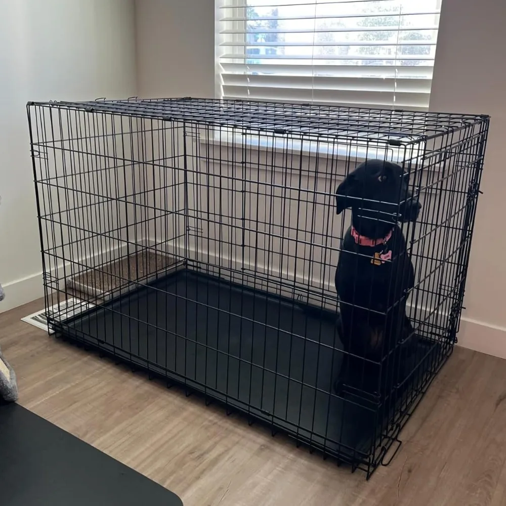 48 Inch Dog Crates for Large Dogs Folding Dog Cage Metal Wire Crates Portable Pet Kennels Outdoor and Indoor Pet Dog Cage Crate
48 Inch Dog Crates for Large Dogs Folding Dog Cage Metal Wire Crates Portable Pet Kennels Outdoor and Indoor Pet Dog Cage Crate