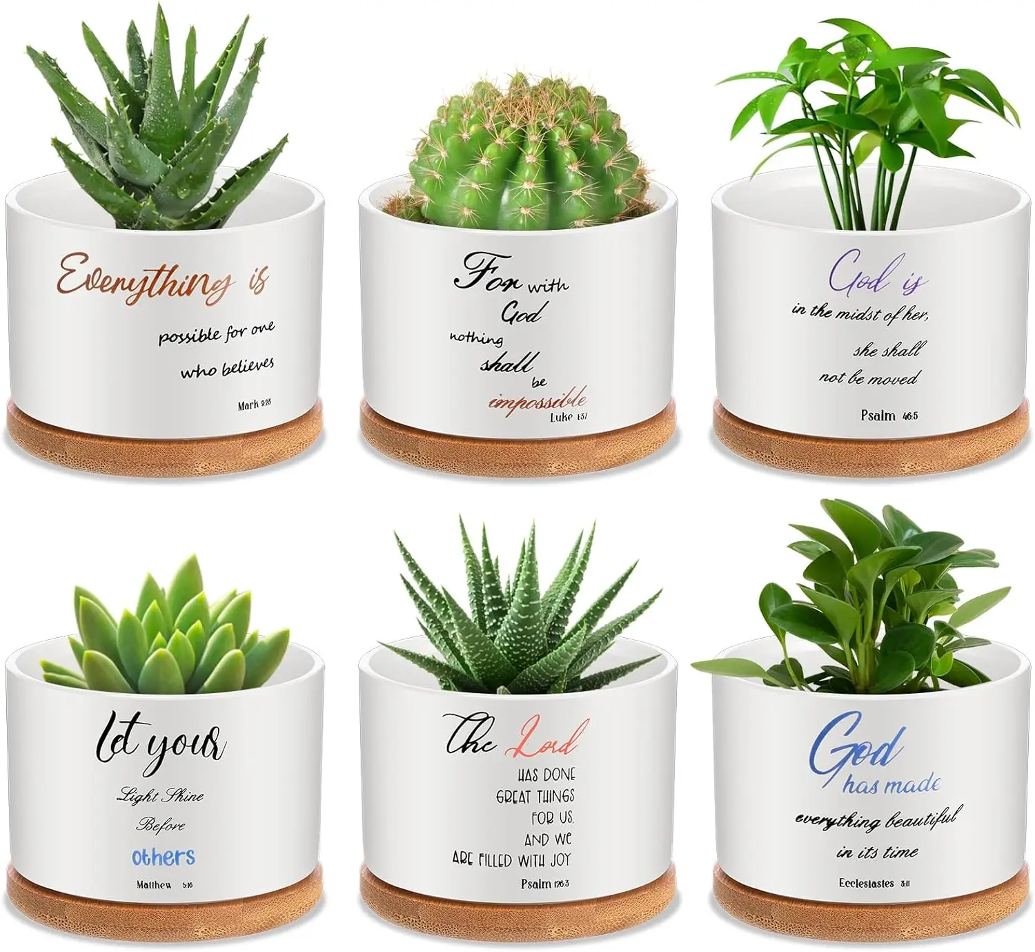 6 Pcs Bible Verse Succulent Pot Christian Bible Verse Gifts Set Ceramic Mini Floral Succulent Planters with Bamboo Tray
6 Pcs Bible Verse Succulent Pot Christian Bible Verse Gifts Set Ceramic Mini Floral Succulent Planters with Bamboo Tray