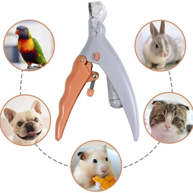 Pet Nail Clipper Scissors LED Light Cat Dog Nail Clippers Tool Scissors Nail Cutter Trimmer Tool Scissors Pet Supplies
Pet Nail Clipper Scissors LED Light Cat Dog Nail Clippers Tool Scissors Nail Cutter Trimmer Tool Scissors Pet Supplies