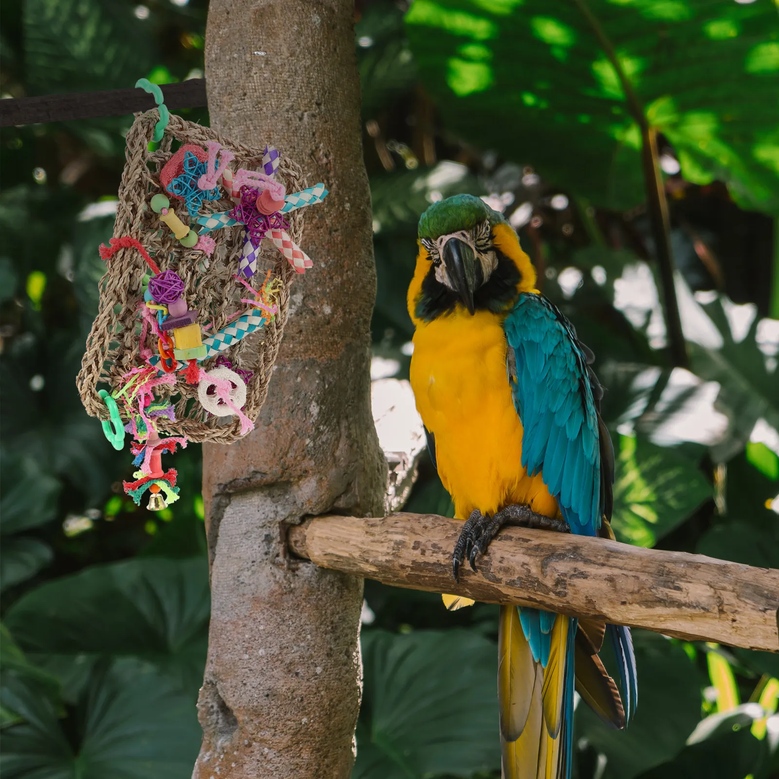 1Pcs Bird Climbing Net Hanging Foraging Wall Bright Colorful Parrot Biting Bite Resistance Plaything Pet Birds Supply
1Pcs Bird Climbing Net Hanging Foraging Wall Bright Colorful Parrot Biting Bite Resistance Plaything Pet Birds Supply