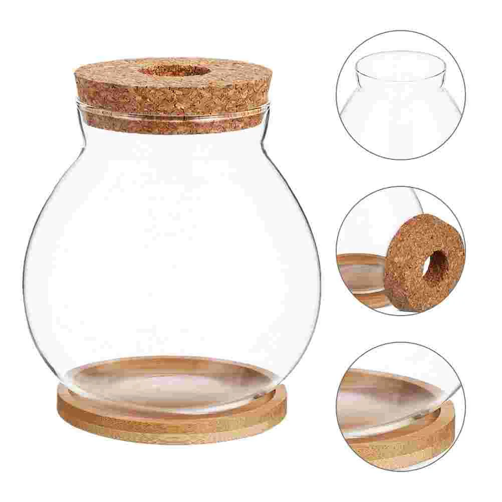 s Hydroponic Glass Fish Tank Clear Betta Bowl Mini Aquarium Desktop Office Terrarium Wooden Lid Easy Maintenance Sleek
s Hydroponic Glass Fish Tank Clear Betta Bowl Mini Aquarium Desktop Office Terrarium Wooden Lid Easy Maintenance Sleek