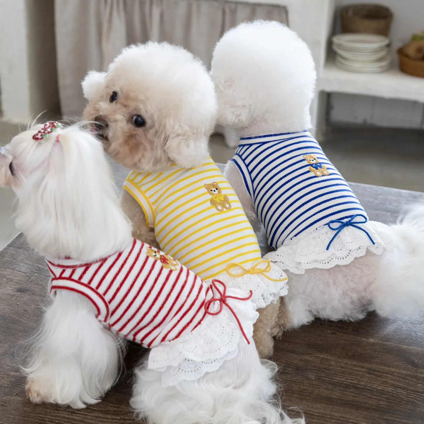 Classic Stripe Pet Dog Clothes Spring Summer Soft Thin Cotton Print Skirt for Small Medium Dog Chihuahua Poodle Puppy Vest Skirt
Classic Stripe Pet Dog Clothes Spring Summer Soft Thin Cotton Print Skirt for Small Medium Dog Chihuahua Poodle Puppy Vest Skirt