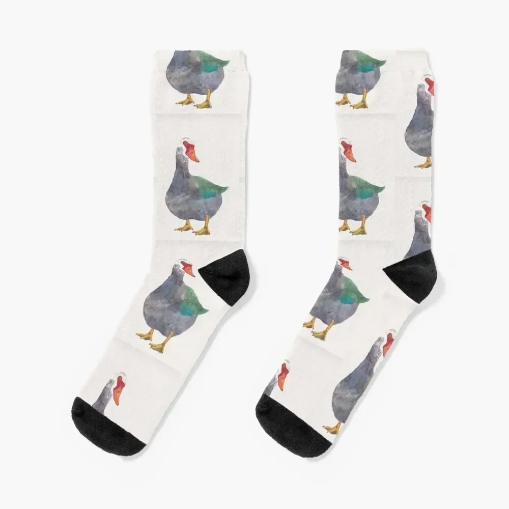 Muscovy Duck watercolor bird painting Socks men cotton high quality cycling Soccer kawaii Socks Men Women's
Muscovy Duck watercolor bird painting Socks men cotton high quality cycling Soccer kawaii Socks Men Women's