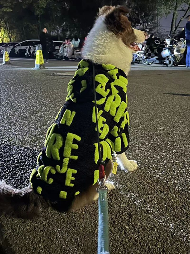 Одежда для больших собак, зимнее пальто для больших собак, куртка с капюшоном, лабрадор самоед, хаски, золотистый ретривер, одежда Weimaraner Border Collie
Одежда для больших собак, зимнее пальто для больших собак, куртка с капюшоном, лабрадор самоед, хаски, золотистый ретривер, одежда Weimaraner Border Collie