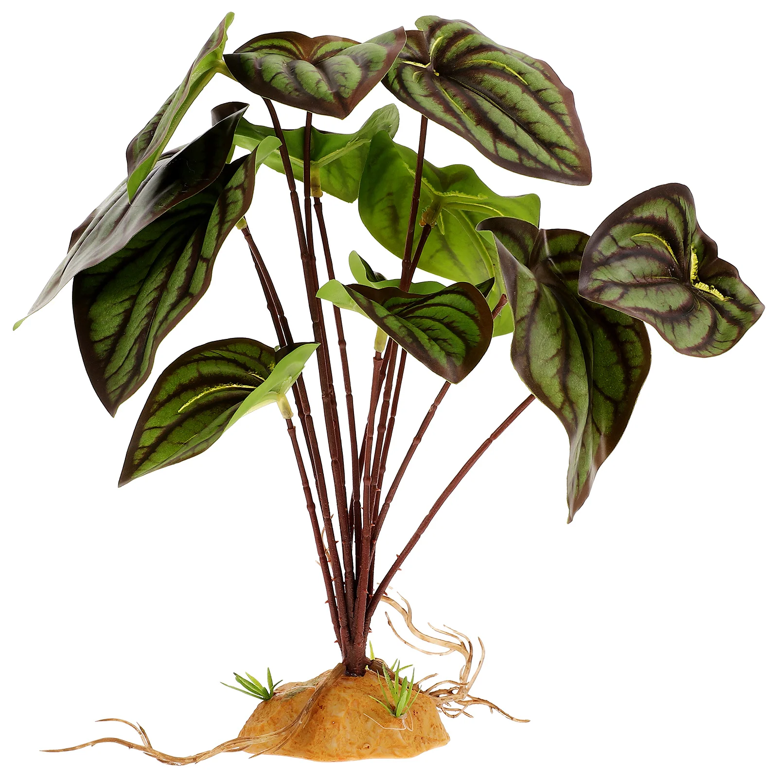 Fake Plants for Terrarium Reptile Simulation Decorate Lifelike Decoration Ornament Supplies Resin Landscape Amphibians Habitat
Fake Plants for Terrarium Reptile Simulation Decorate Lifelike Decoration Ornament Supplies Resin Landscape Amphibians Habitat