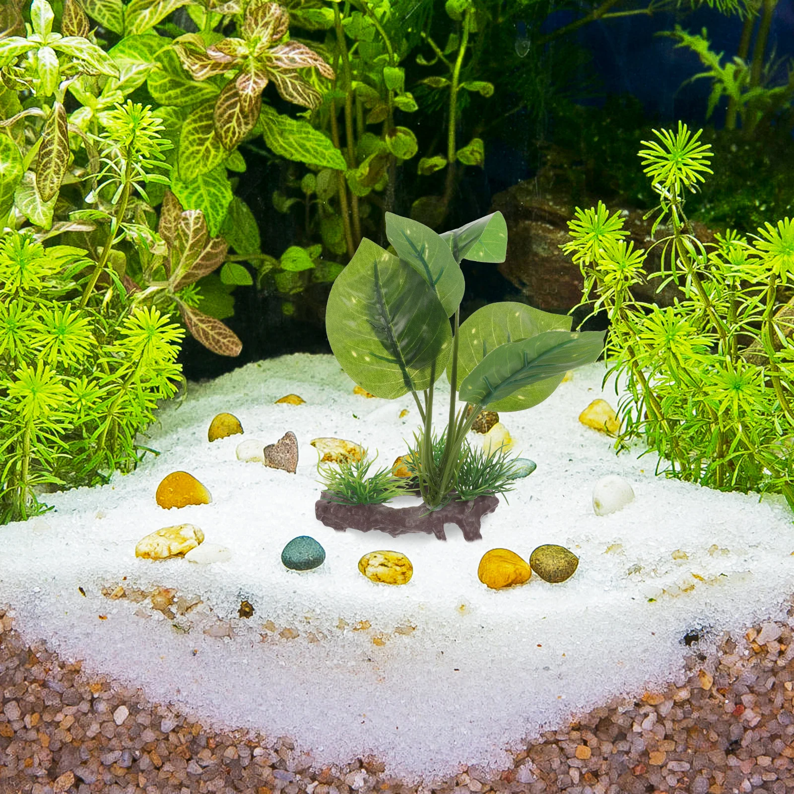 Aquarium Plants Realistic Fake Aquatic Plant for Fish Tank Not Easy to Deform and Fade Aquarium Plants Realistic
Aquarium Plants Realistic Fake Aquatic Plant for Fish Tank Not Easy to Deform and Fade Aquarium Plants Realistic