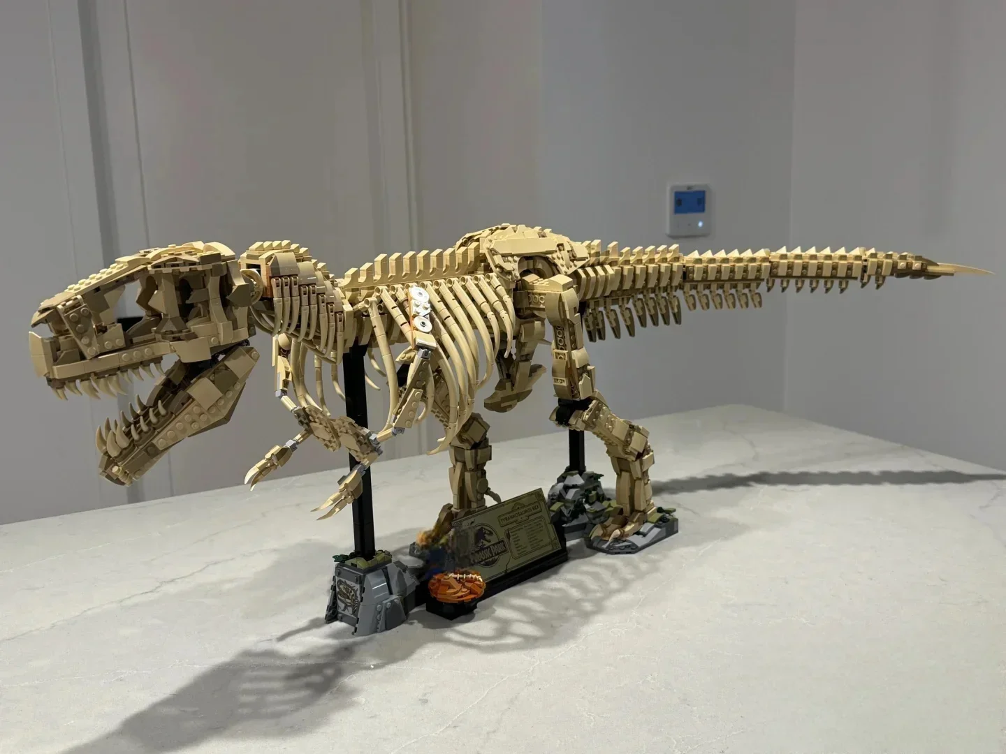 2025 New MOC Tyrannosaurus Rex Fossil Skeleton Model Home Decor Children's Boys' Holiday Gift
2025 New MOC Tyrannosaurus Rex Fossil Skeleton Model Home Decor Children's Boys' Holiday Gift