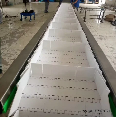 Efficiency Horizontal Plastic Mesh Belt Conveyor
Efficiency Horizontal Plastic Mesh Belt Conveyor