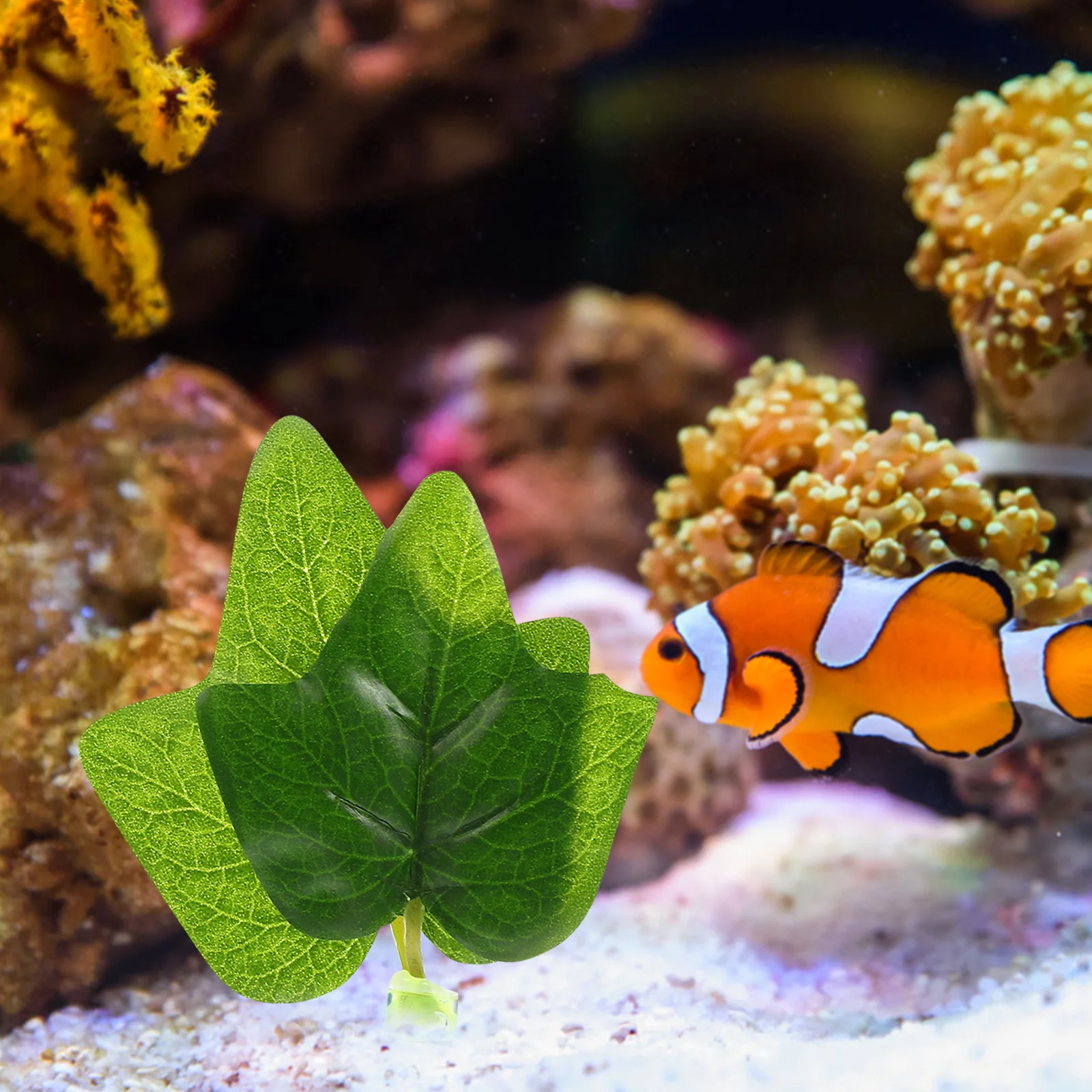 4Pcs Plastic Aquarium Decors Lifelike Ornament Fish Reptile Environment Realistic Modeling Durable Safe Water Long Use
4Pcs Plastic Aquarium Decors Lifelike Ornament Fish Reptile Environment Realistic Modeling Durable Safe Water Long Use