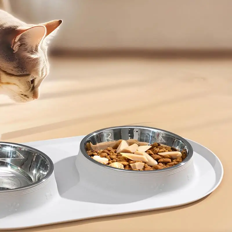Dog Food Bowl Feeding Dishes With Mats Silicone Anti-Slip Waterproof Bowl For Dog Feeding Puppy Pet Cat Breed Daily Meals
Dog Food Bowl Feeding Dishes With Mats Silicone Anti-Slip Waterproof Bowl For Dog Feeding Puppy Pet Cat Breed Daily Meals