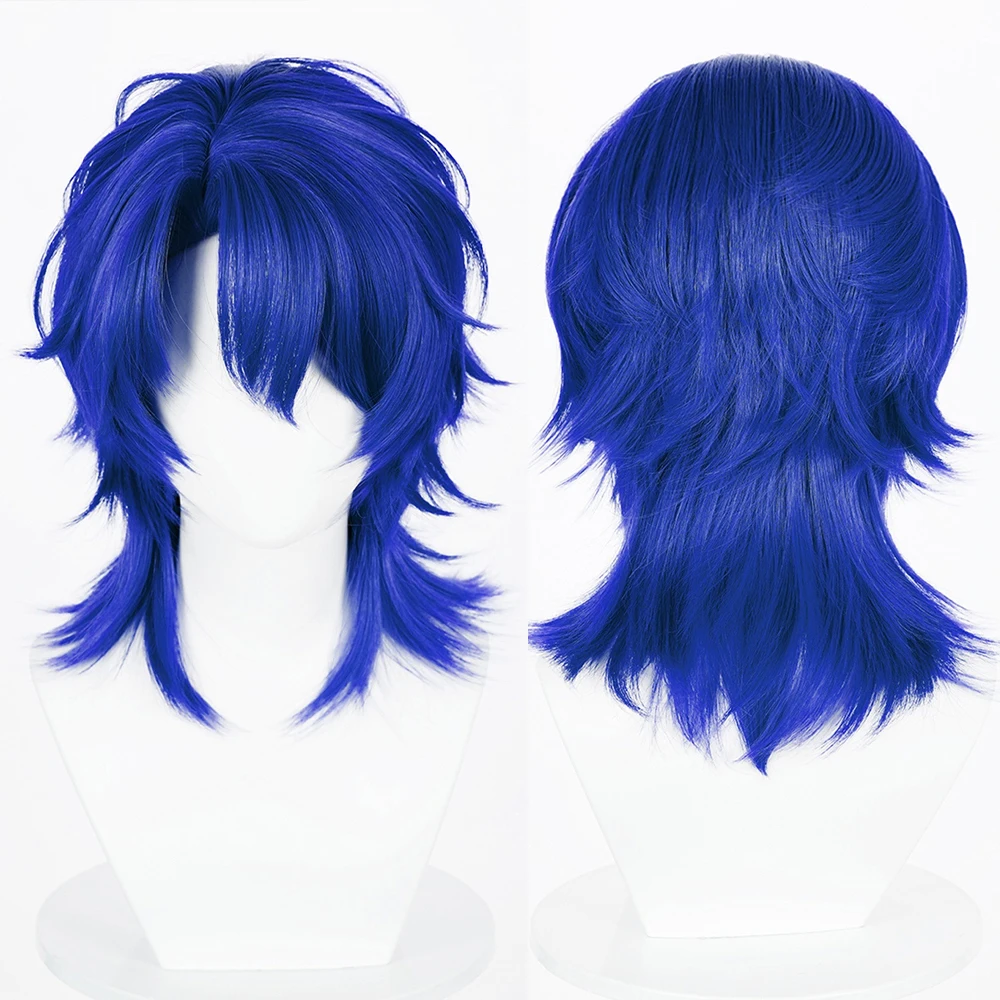 Blue Men Short Straight Synthetic Mullet Head Wigs Middle Part Wolf Tail Anime Game Cosplay Fluffy Wig for Daily Party
Blue Men Short Straight Synthetic Mullet Head Wigs Middle Part Wolf Tail Anime Game Cosplay Fluffy Wig for Daily Party