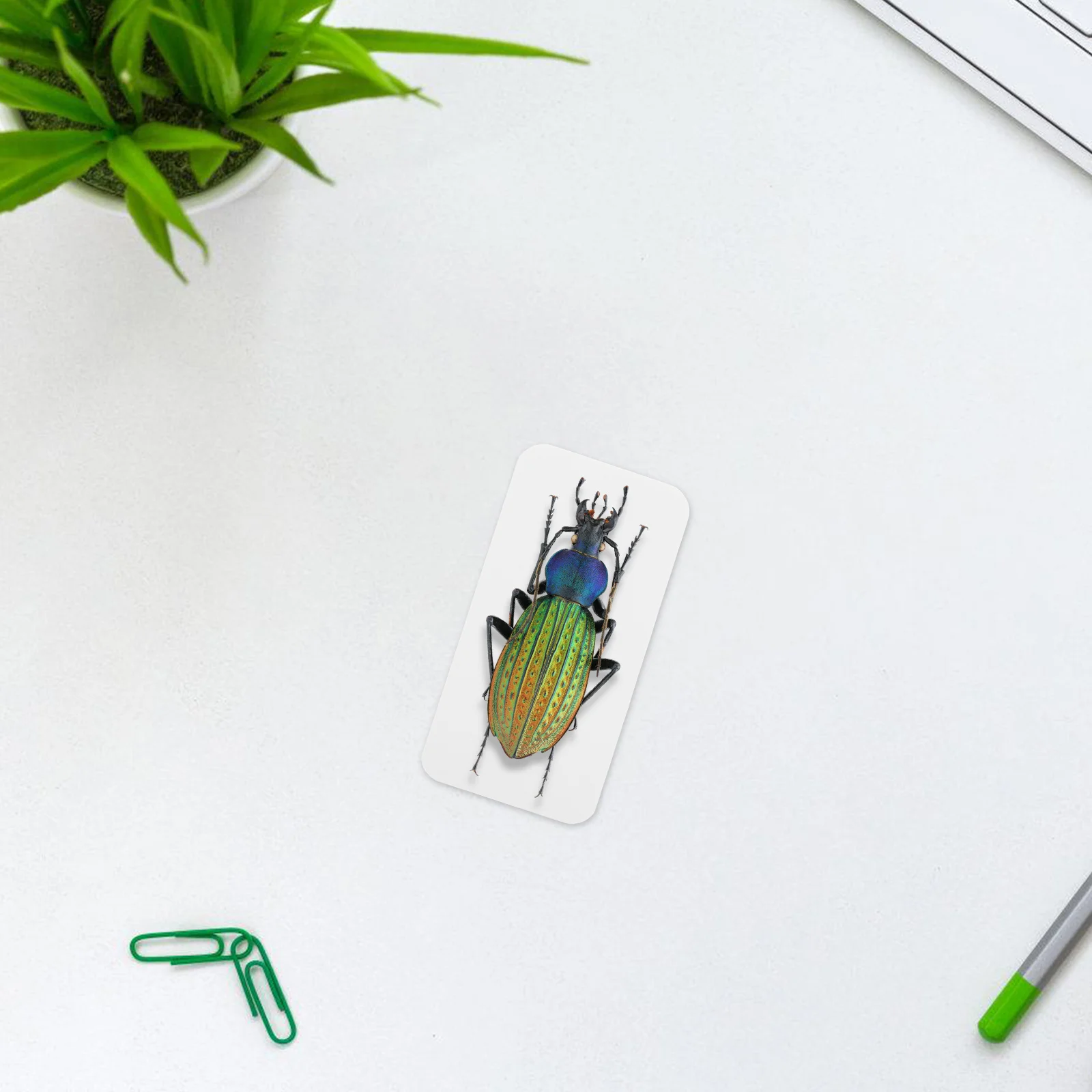 100 Pcs Miniature Specimen Pad Triangle Observation Paper Entomology Supplies Micro Positioning Pad Insect Pinning Kit Plant
100 Pcs Miniature Specimen Pad Triangle Observation Paper Entomology Supplies Micro Positioning Pad Insect Pinning Kit Plant