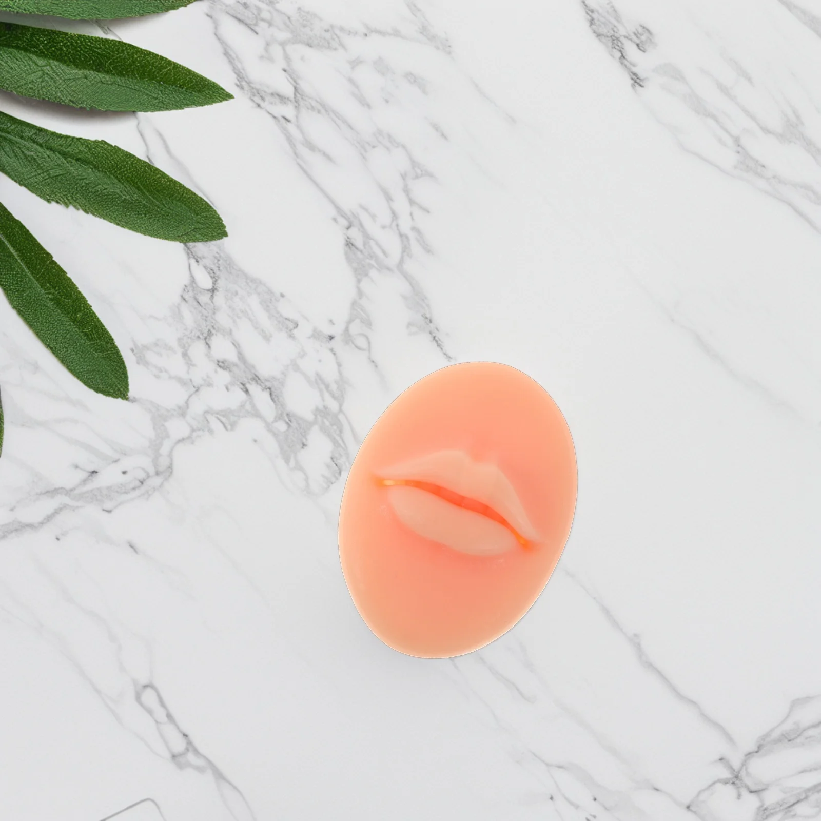 2 шт., силиконовые практические губы, реалистичные татуировки для губ, портативные принадлежности для практики макияжа, оборудование для искусственной татуировки губ
2 шт., силиконовые практические губы, реалистичные татуировки для губ, портативные принадлежности для практики макияжа, оборудование для искусственной татуировки губ