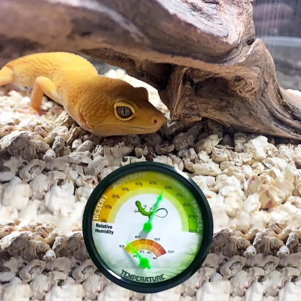 High Accurately Digital Hygrometers Digital Display Climbing Design Indoor Hygrometers Outdoor Hygrometers Lizard Habitats
High Accurately Digital Hygrometers Digital Display Climbing Design Indoor Hygrometers Outdoor Hygrometers Lizard Habitats