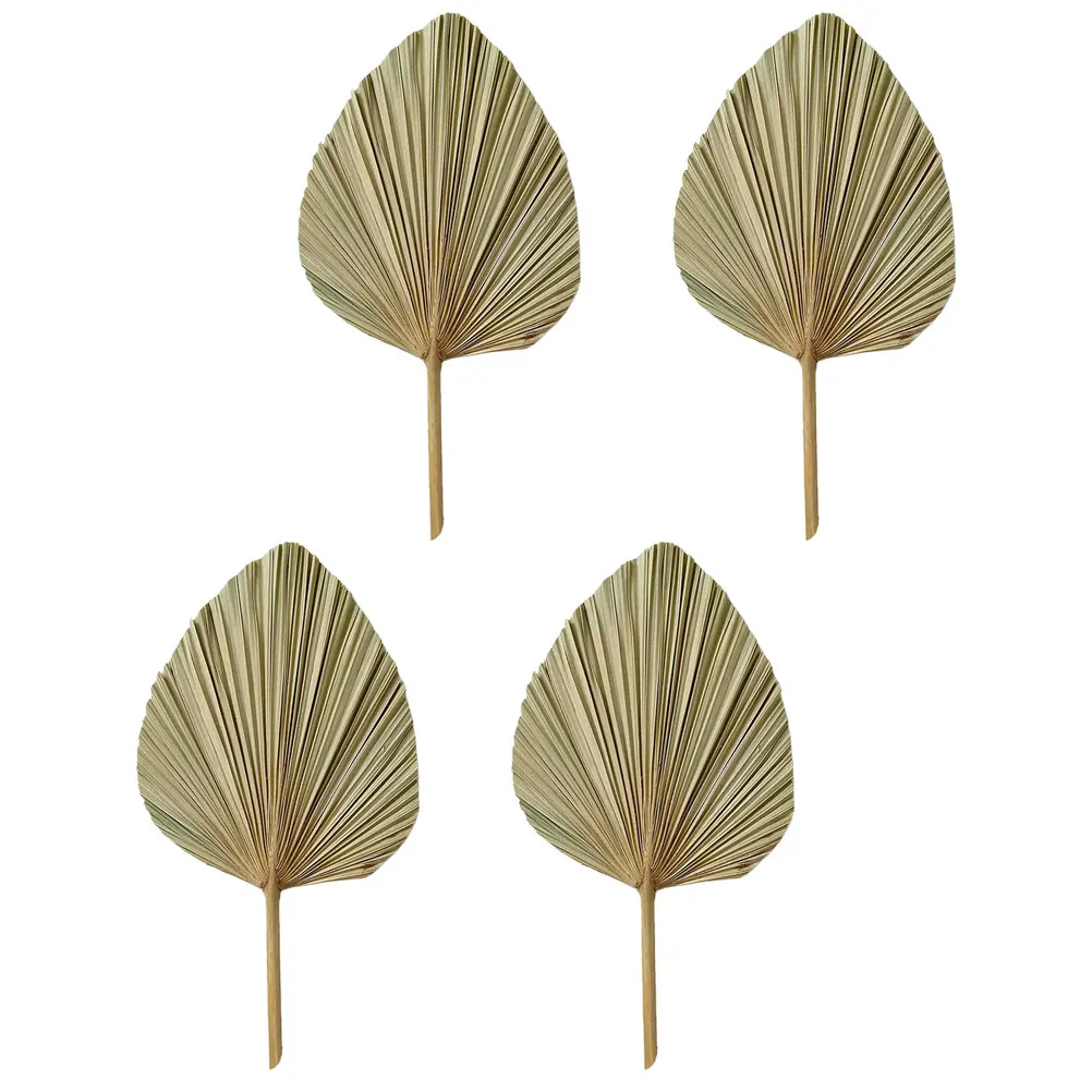 4Pcs Dried Palm Leaf Decor Chic Wedding Party Vivid Palm Leaves Fan Wedding DIY Flower Arrangement Tropical Leaves
4Pcs Dried Palm Leaf Decor Chic Wedding Party Vivid Palm Leaves Fan Wedding DIY Flower Arrangement Tropical Leaves