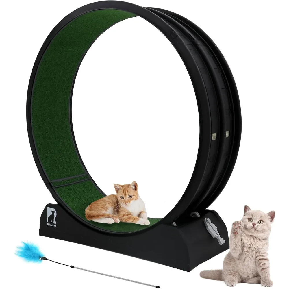 Cat Exercise Wheel, 47.2 Inch Indoor Cat Treadmill, Cat Running Wheel with Carpet Running Track
Cat Exercise Wheel, 47.2 Inch Indoor Cat Treadmill, Cat Running Wheel with Carpet Running Track