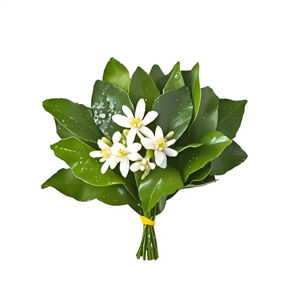 MYoslim 6500 Вт 15 Тесла для удаления жира, контурная электрическая стимуляция мышц, Ems, скульптура тела, мусульманские наборы для похудения, машина
MYoslim 6500 Вт 15 Тесла для удаления жира, контурная электрическая стимуляция мышц, Ems, скульптура тела, мусульманские наборы для похудения, машина