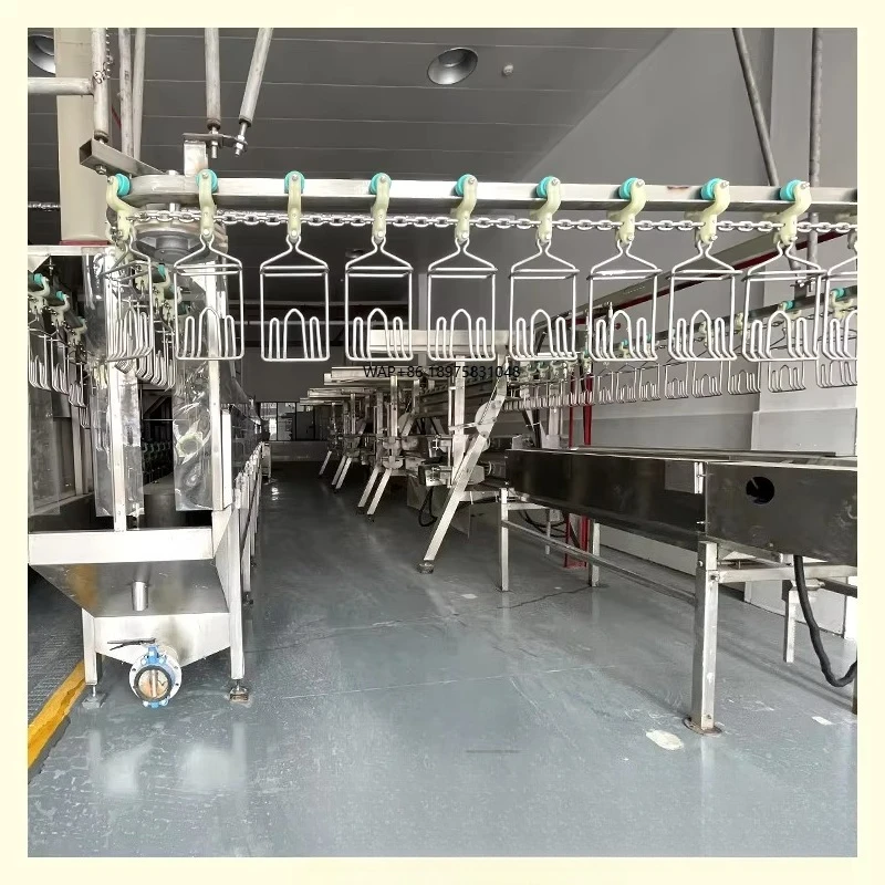 factory direct sale automatic complete poultry duck broiler chicken slaughterhouse slaughtering equipment processing cut up line
factory direct sale automatic complete poultry duck broiler chicken slaughterhouse slaughtering equipment processing cut up line