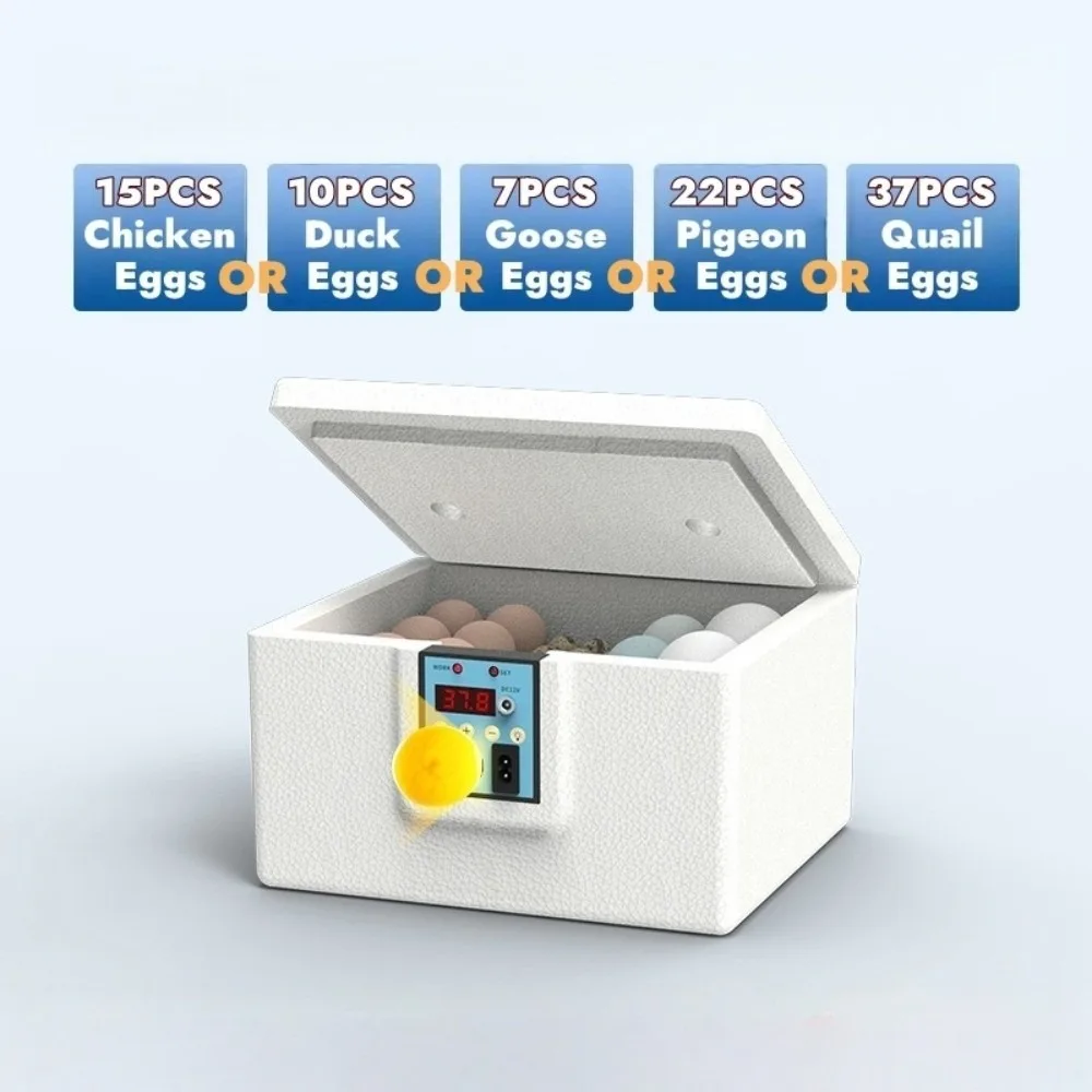 Digital Display 10/15PCS Waterbed Egg Incubator Foam Insulation Humidity Control Poultry Smart Incubator Temperature Control
Digital Display 10/15PCS Waterbed Egg Incubator Foam Insulation Humidity Control Poultry Smart Incubator Temperature Control