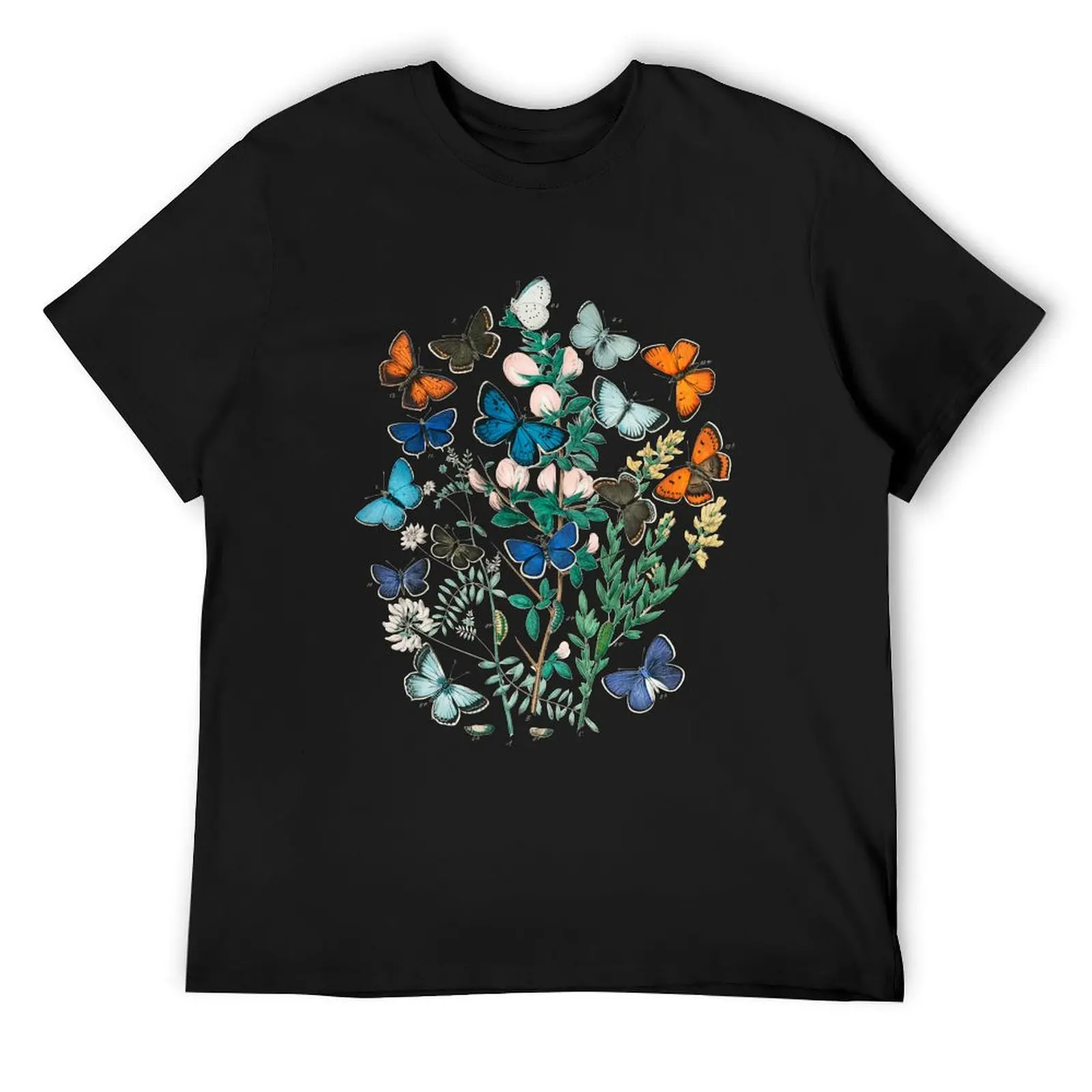Vintage butterfly scientific plate (with labels) T-Shirt cheap stuff luxury t-shirt topping mens white t shirts
Vintage butterfly scientific plate (with labels) T-Shirt cheap stuff luxury t-shirt topping mens white t shirts