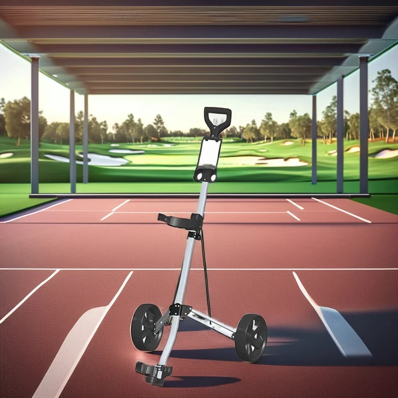 Lightweight 2-Wheel Foldable Push Pull Trolley Walking Trundler with Easy Push & Pull Features
Lightweight 2-Wheel Foldable Push Pull Trolley Walking Trundler with Easy Push & Pull Features