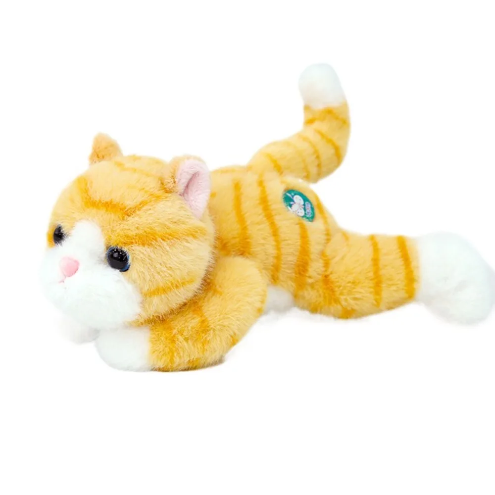 Marine Animal Tortoise Plush Toy Fluffy Stuffed Sea Turtle Stuffed Doll Cute Cartoon Little Cat Plush Doll Car Decor
Marine Animal Tortoise Plush Toy Fluffy Stuffed Sea Turtle Stuffed Doll Cute Cartoon Little Cat Plush Doll Car Decor