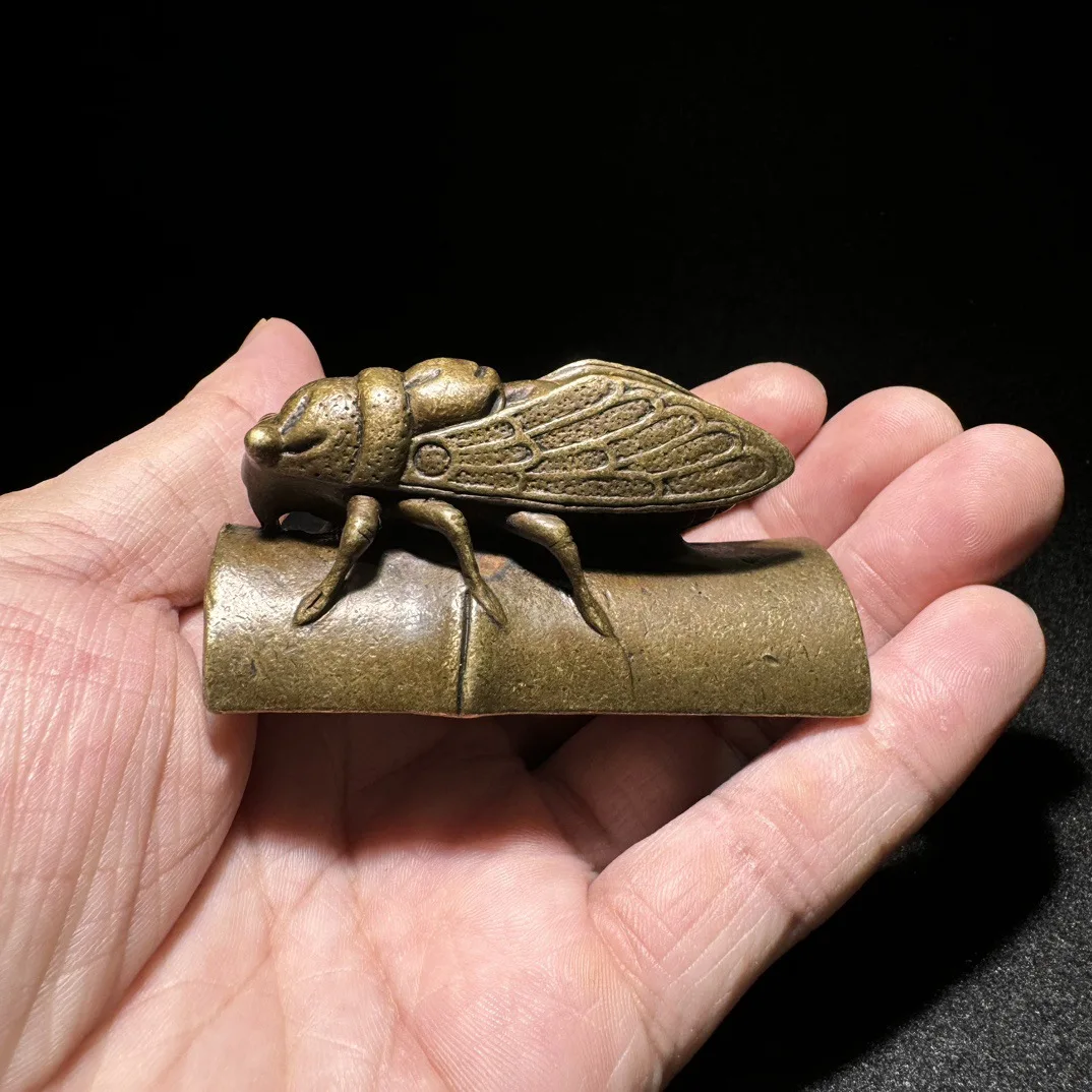 Antique copper cicadas bamboo cicada ornaments handicrafts study room Desktop paperweight collection exquisite crafts
Antique copper cicadas bamboo cicada ornaments handicrafts study room Desktop paperweight collection exquisite crafts