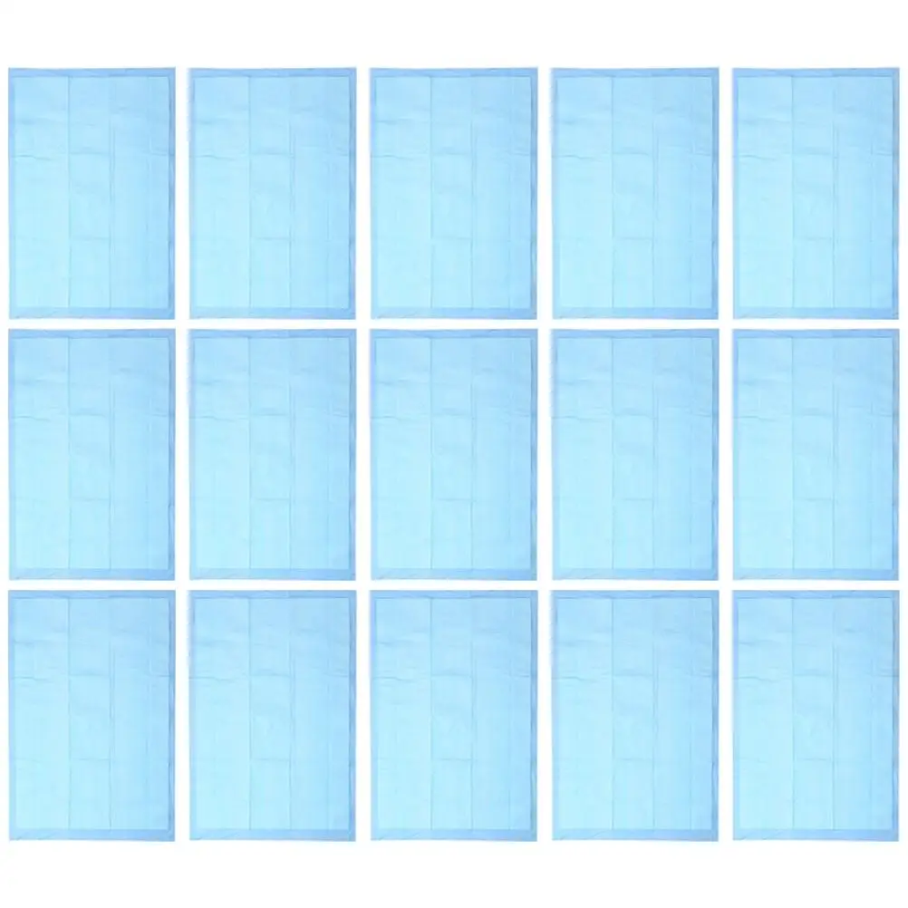 50 Pcs Pet Training Pads 33x45cm Sky Blue Pee Mat for Small Puppy Dog Cat High Absorbency Disposable Clean Supplies
50 Pcs Pet Training Pads 33x45cm Sky Blue Pee Mat for Small Puppy Dog Cat High Absorbency Disposable Clean Supplies