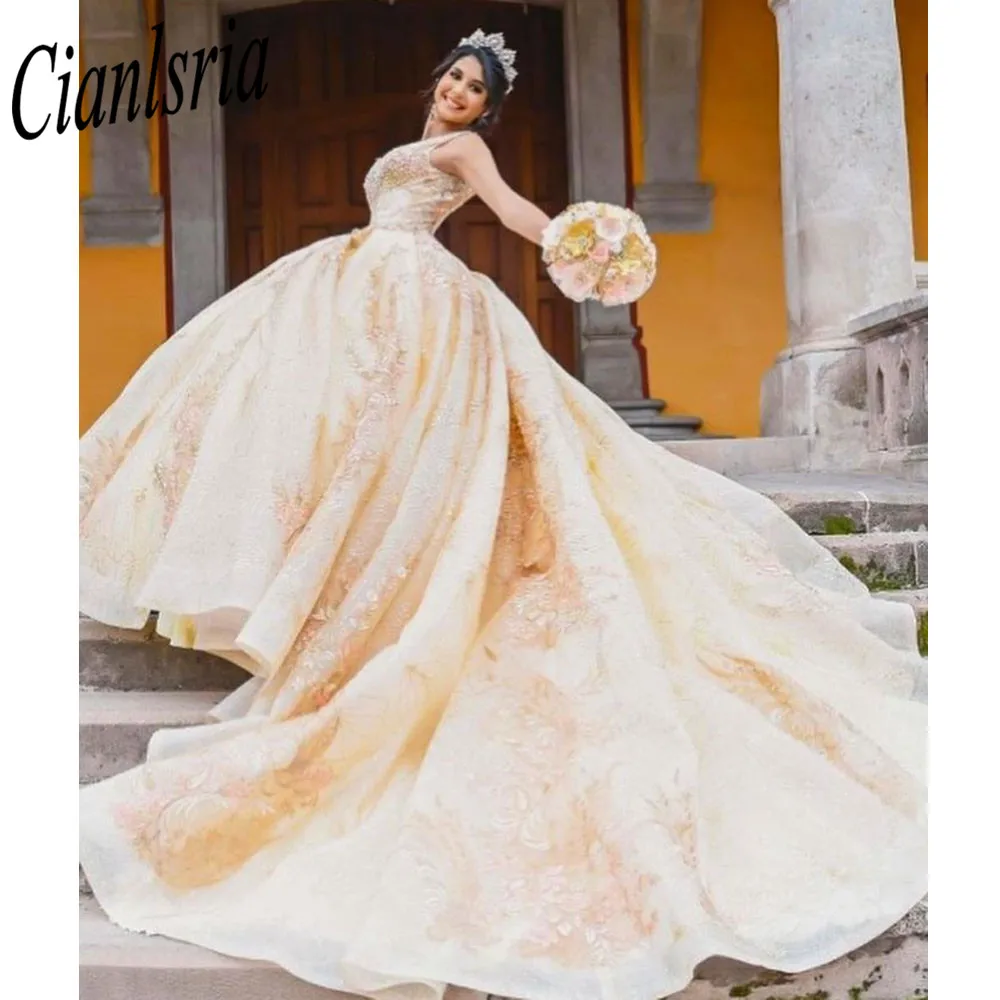 Блестящие платья Quinceanera цвета шампанского, роскошные платья для дня рождения, Vestidos De 15, корсет с блестящим тюлем
Блестящие платья Quinceanera цвета шампанского, роскошные платья для дня рождения, Vestidos De 15, корсет с блестящим тюлем