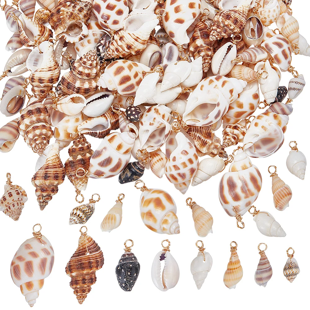 160Pcs 8 Styles Mixed Shell Pendants Shell Shape Charms with Copper Wire Loops Light Gold Mixed Color 17~34mm
160Pcs 8 Styles Mixed Shell Pendants Shell Shape Charms with Copper Wire Loops Light Gold Mixed Color 17~34mm