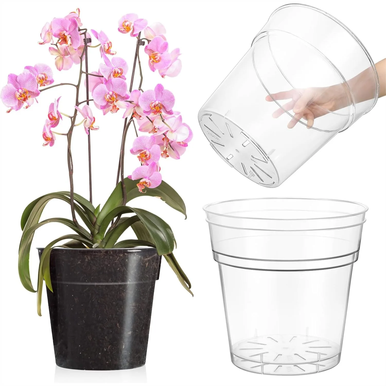 3 Pack 9.8 Inch Clear Nursery Pots with Drainage Holes for Orchids, Large Plastic Plant Containers
3 Pack 9.8 Inch Clear Nursery Pots with Drainage Holes for Orchids, Large Plastic Plant Containers
