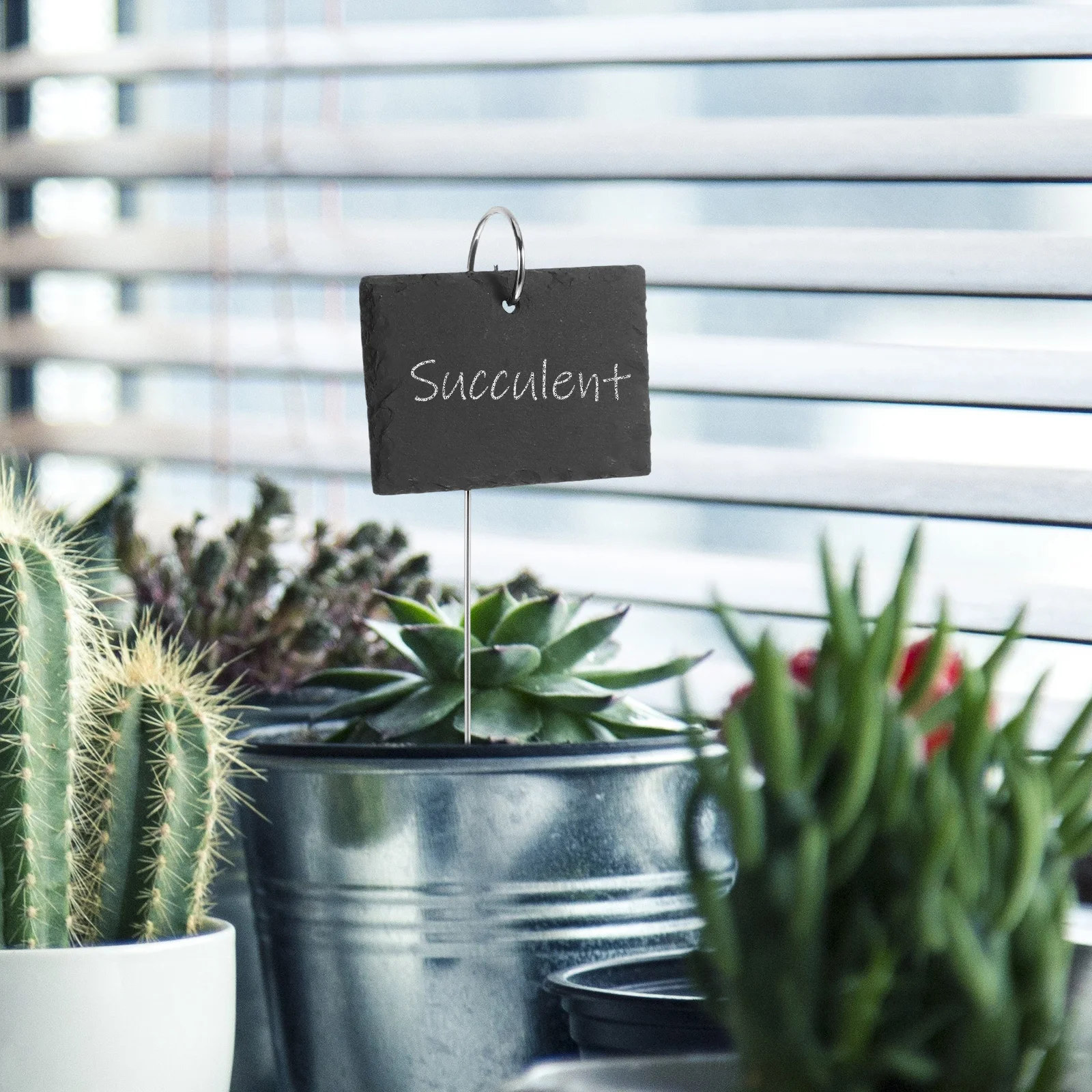 5Pcs Stone Garden Plant Markers Durable Plant Labels for Landscape Potted Plants Nursery Flower Beds Indoor Outdoor Garden
5Pcs Stone Garden Plant Markers Durable Plant Labels for Landscape Potted Plants Nursery Flower Beds Indoor Outdoor Garden