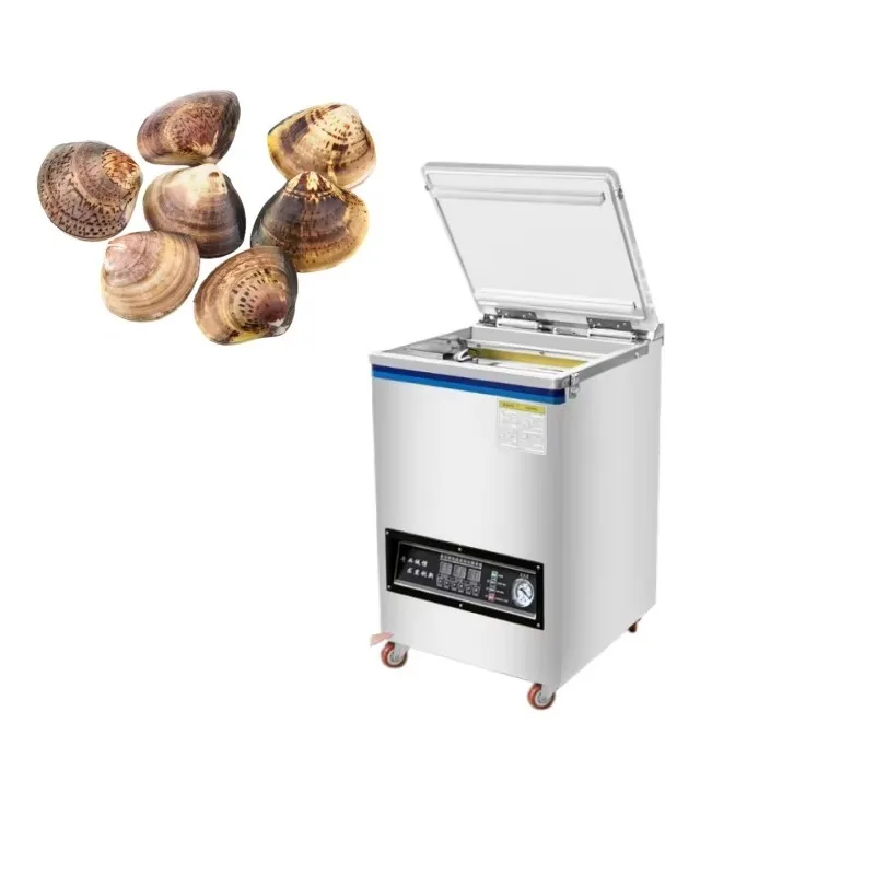 Best Vacuum Packaging Machine for Food Preservation and Freshness
Best Vacuum Packaging Machine for Food Preservation and Freshness