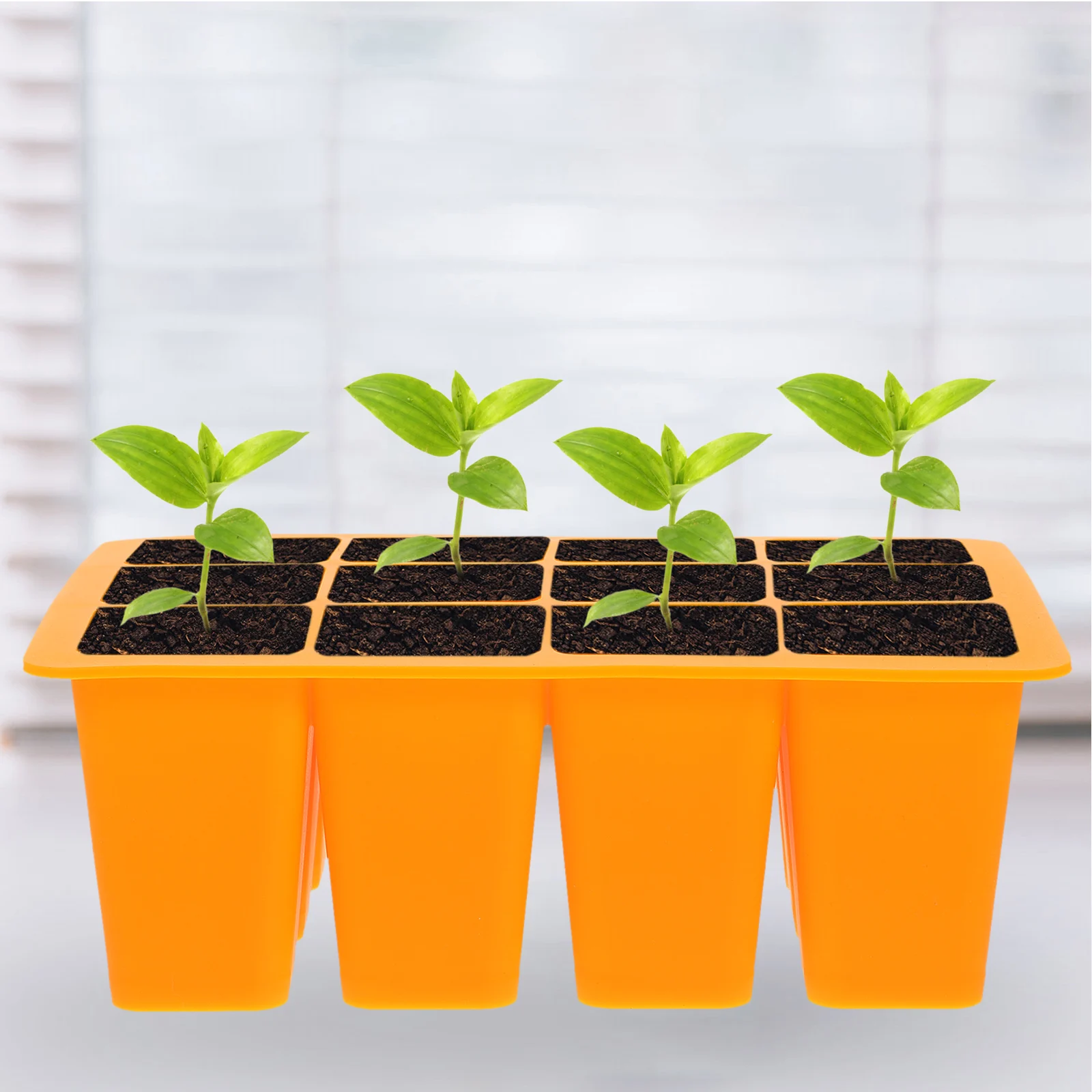 Simple Design Silicone Starter Tray Germination Tray Perfect For Transplanting Plants Seedlings
Simple Design Silicone Starter Tray Germination Tray Perfect For Transplanting Plants Seedlings