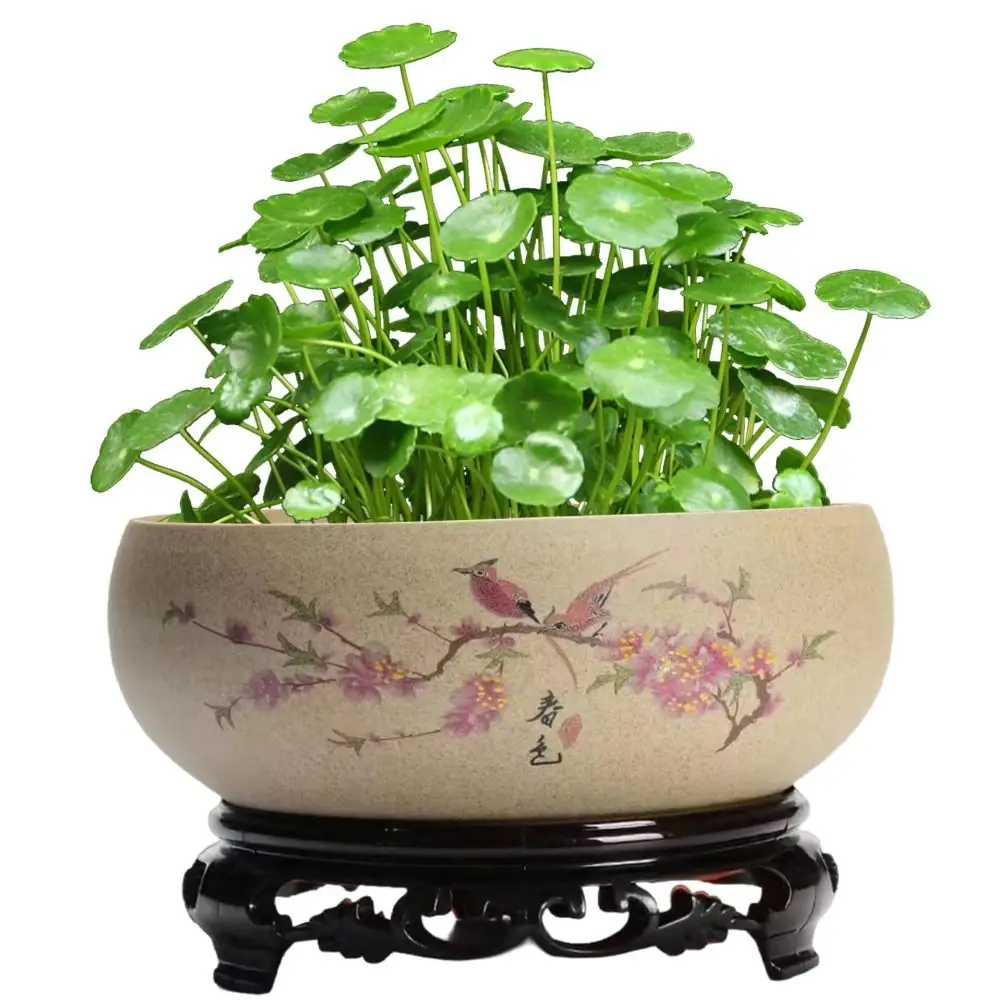 New Ceramic Flowerpot With Stand Durable Bonsai Bowl Smooth Hydroponic Chinese Style Lotus Bowl Indoor Outdoor
New Ceramic Flowerpot With Stand Durable Bonsai Bowl Smooth Hydroponic Chinese Style Lotus Bowl Indoor Outdoor