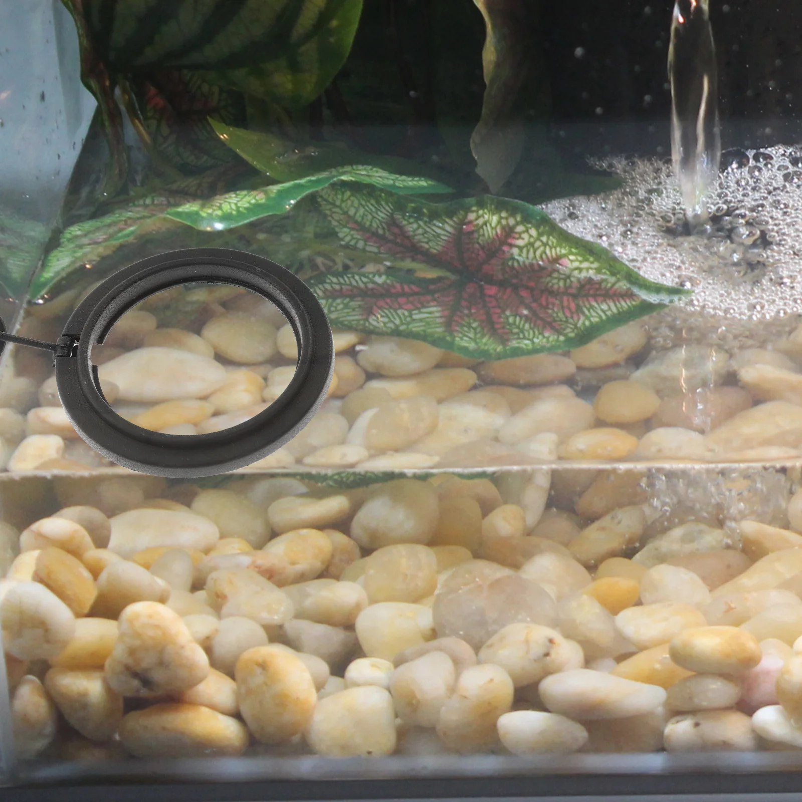 4pcs Fish Feeding Ring Black Floating Feeder Rings Aquarium Tank Shrimp Tropical Fish Food Suction Cup
4pcs Fish Feeding Ring Black Floating Feeder Rings Aquarium Tank Shrimp Tropical Fish Food Suction Cup