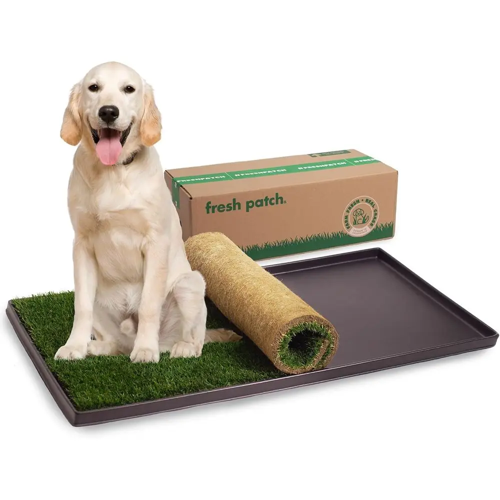 Large Pet Grass Pee Pads with Tray - Indoor/Outdoor Training Mat for Dogs and Cats Over 30 Pounds
Large Pet Grass Pee Pads with Tray - Indoor/Outdoor Training Mat for Dogs and Cats Over 30 Pounds