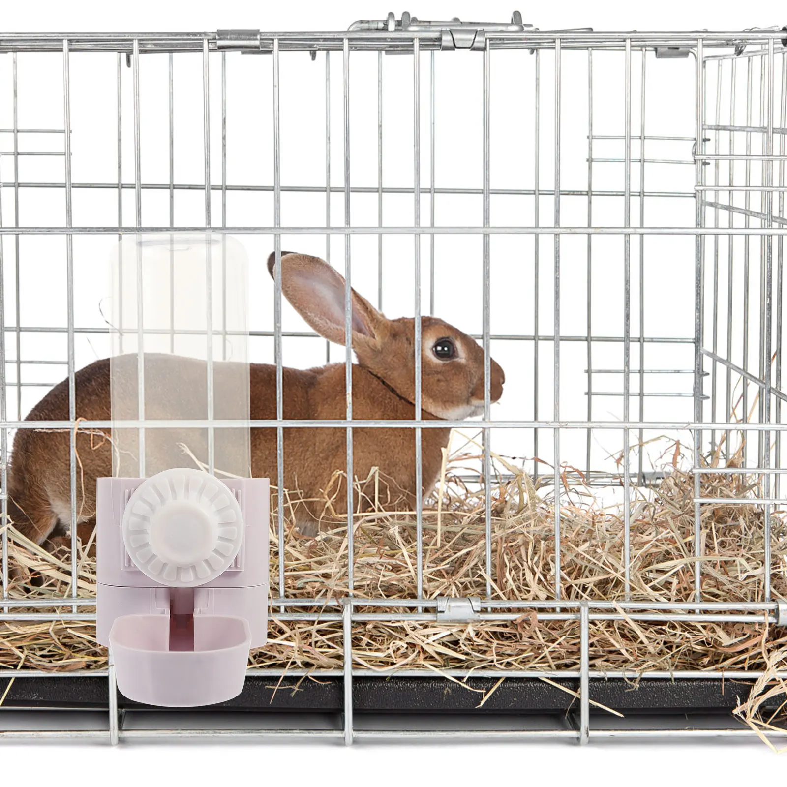 Rabbit Drinker Pet Hanging Water Feeder Bottle Automatic Animal Dispenser Pp Bottles Accessories for Rabbits
Rabbit Drinker Pet Hanging Water Feeder Bottle Automatic Animal Dispenser Pp Bottles Accessories for Rabbits