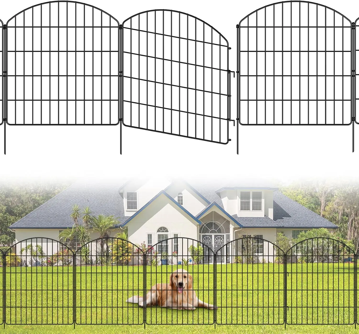 12Pcs No-Dig Garden Fence with Gate, 30in H x 23.6ft L, Rustproof Metal for Yard & Patio
12Pcs No-Dig Garden Fence with Gate, 30in H x 23.6ft L, Rustproof Metal for Yard & Patio