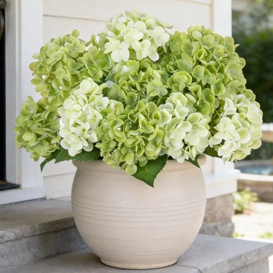 Artificial Flowers Fake Outdoor Hydrangea Bouquets with Long Stems, 3Pcs 18" Faux Hydrangeas with Latex Real Touch for Outdoors
Artificial Flowers Fake Outdoor Hydrangea Bouquets with Long Stems, 3Pcs 18" Faux Hydrangeas with Latex Real Touch for Outdoors