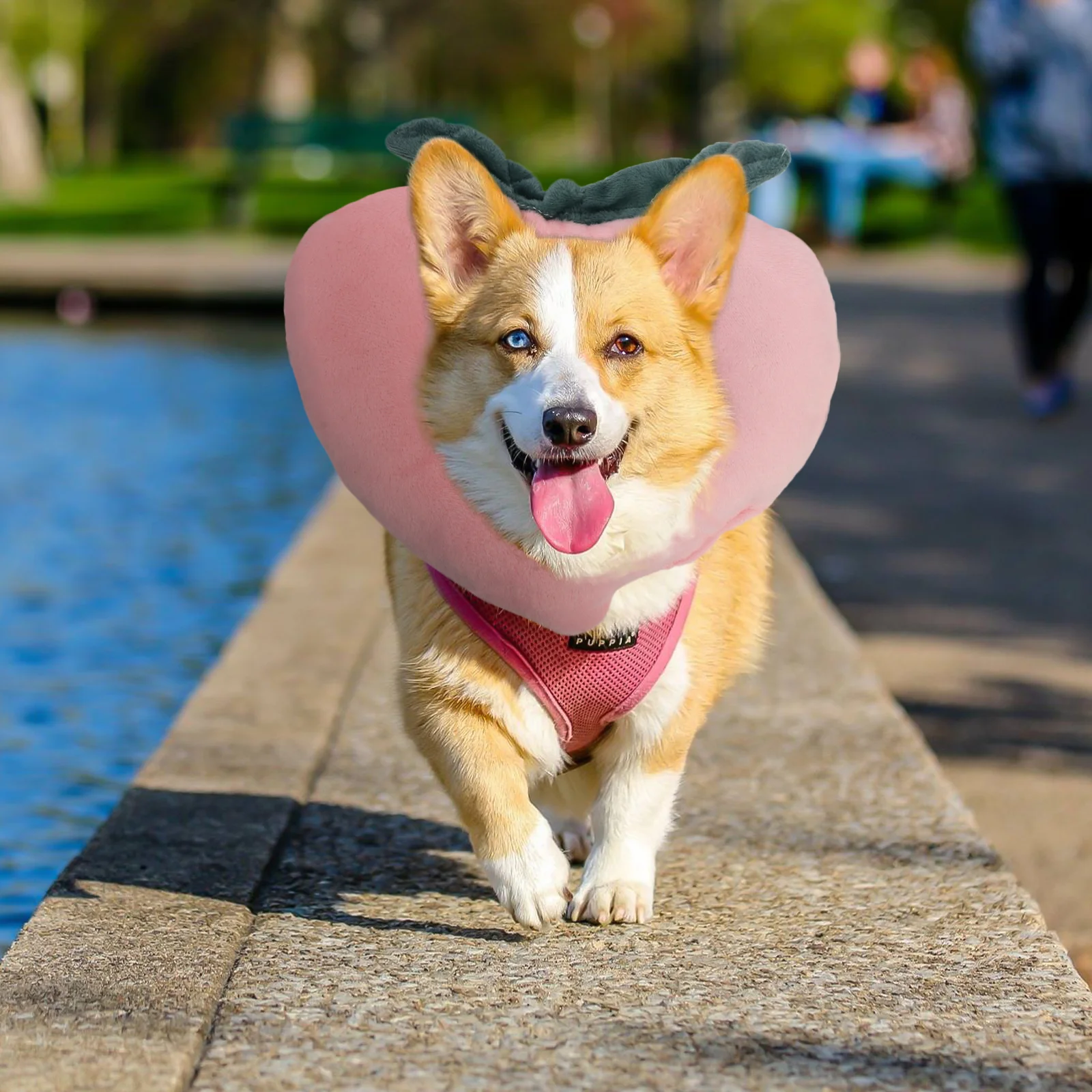 Pet Collar Cat Recovery Peach Neck Decor Kit Toys Dog Protective Creative Plush Shield Paw
Pet Collar Cat Recovery Peach Neck Decor Kit Toys Dog Protective Creative Plush Shield Paw
